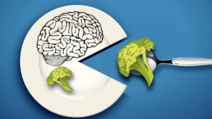 Gut Health 101 How to Nourish Your Second Brain